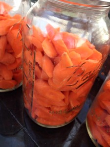 Carrots fermented 219614_10206643278945231_6378066709684597753_n